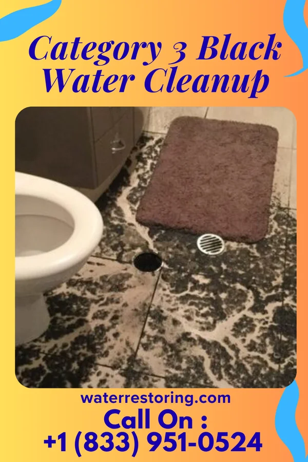 Category 3 Black Water Cleanup in Gove City, KS